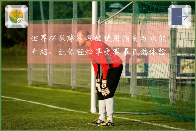 世界杯买球官网的使用指南与功能介绍，让你轻松享受赛事直播体验