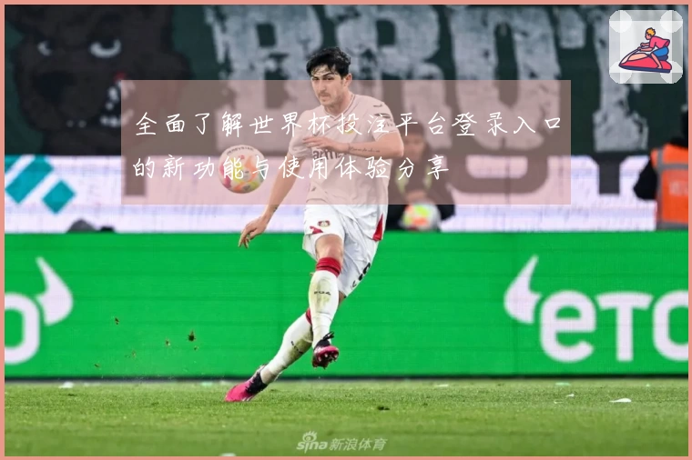 全面了解世界杯投注平台登录入口的新功能与使用体验分享