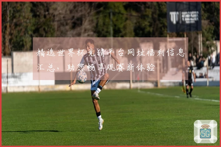 精选世界杯竞猜平台网址福利信息汇总，助您畅享观赛新体验