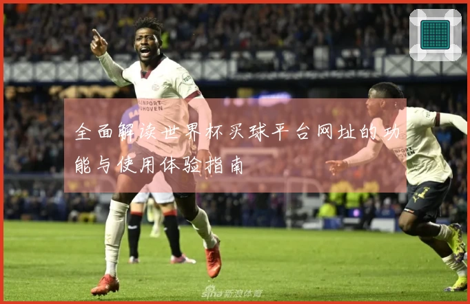 全面解读世界杯买球平台网址的功能与使用体验指南